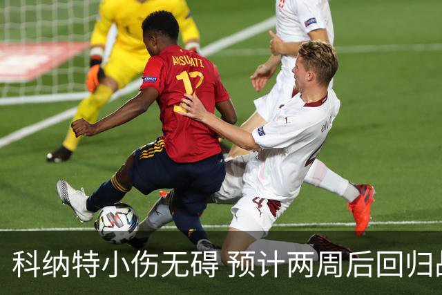 科纳特小伤无碍 预计两周后回归战黄潜